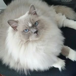 Meet your Posher, Janet